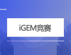 iGEM竞赛