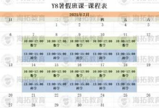 这样的陪跑太好啦！一个暑期消除疑难点，让焦虑归零！